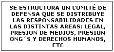 Cuadro de texto: SE ESTRUCTURA UN COMIT� DE DEFENSA QUE SE DISTRIBUYE LAS RESPONSABILIDADES EN LAS DISTINTAS AREAS: LEGAL, PRESION DE MEDIOS, PRESION ONG�S Y DERECHOS HUMANOS, ETC 
&nbsp;
&nbsp;
