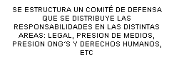 Cuadro de texto: SE ESTRUCTURA UN COMIT� DE DEFENSA QUE SE DISTRIBUYE LAS RESPONSABILIDADES EN LAS DISTINTAS AREAS: LEGAL, PRESION DE MEDIOS, PRESION ONG�S Y DERECHOS HUMANOS, ETC 
